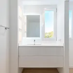 Palmeras 3 *