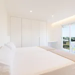 Palmeras 3
