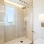 Palmeras 3